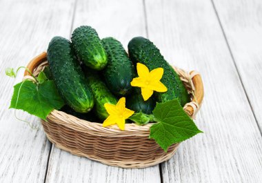 Bir tablo üzerinde taze salatalık