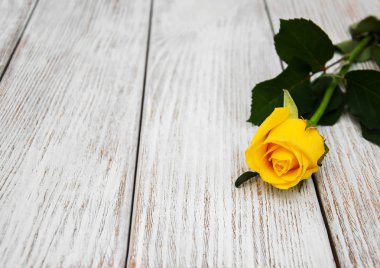 Bir tablo üzerinde Sarı Gül