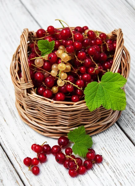 Sepet l kırmızı kuş üzümü ile