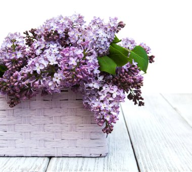 Bir masaya Lila çiçek