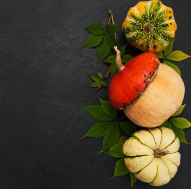 Sonbahar yapraklı balkabakları