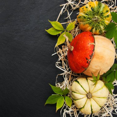 Sonbahar yapraklı balkabakları