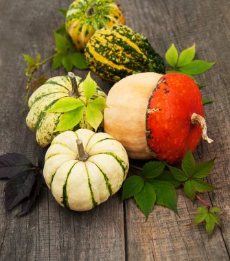 Sonbahar yapraklı balkabakları