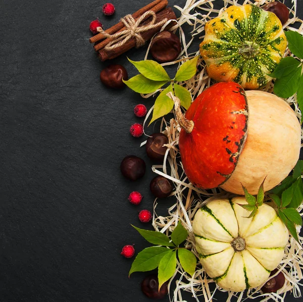 Sonbahar yapraklı balkabakları