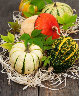 Sonbahar yapraklı balkabakları