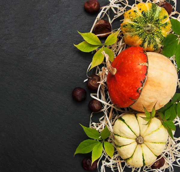 Sonbahar yapraklı balkabakları