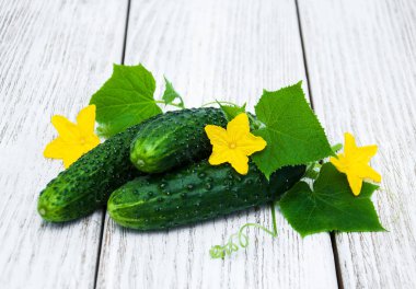 Bir tablo üzerinde taze salatalık