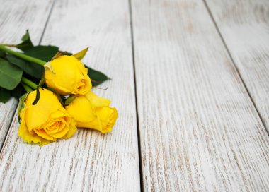 Bir tablo üzerinde Sarı Gül