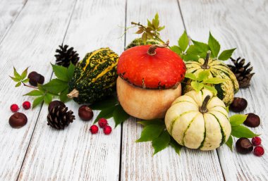 Sonbahar yapraklı balkabakları