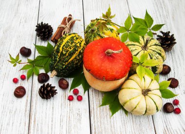 Sonbahar yapraklı balkabakları