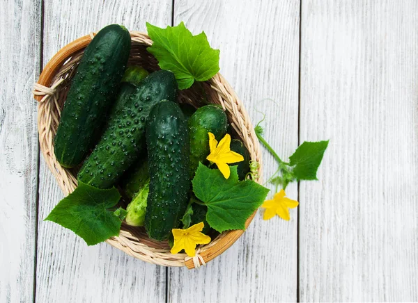 Bir tablo üzerinde taze salatalık