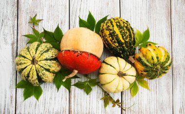 Sonbahar yapraklı balkabakları