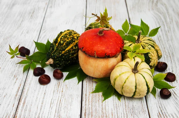 Sonbahar yapraklı balkabakları