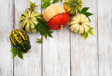 Sonbahar yapraklı balkabakları