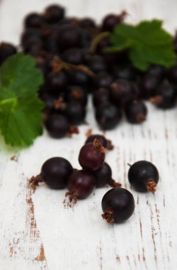 bir tablo üzerinde Siyah frenk üzümü