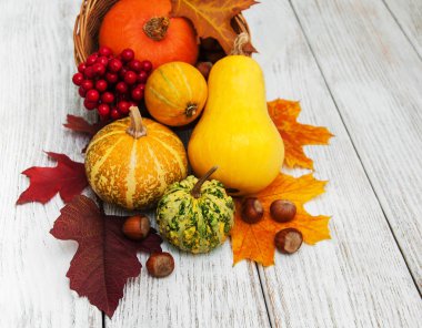 kabak ve yaprakları