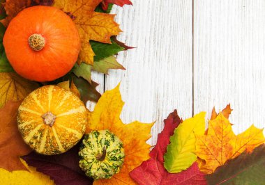 kabak ve yaprakları