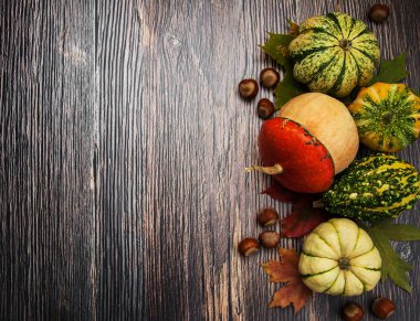 Sonbahar yapraklı balkabakları