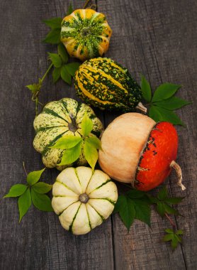 Sonbahar yapraklı balkabakları