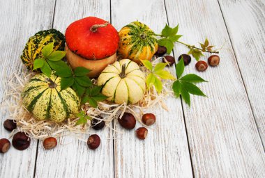 Sonbahar yapraklı balkabakları