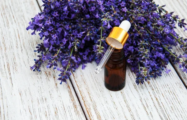 Lavender oil with fresh lavender — Stock Photo, Image