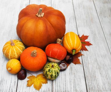 kabaklar ve yaprakları