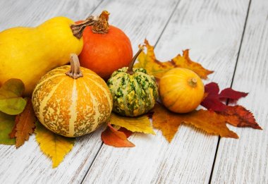 kabak ve yaprakları