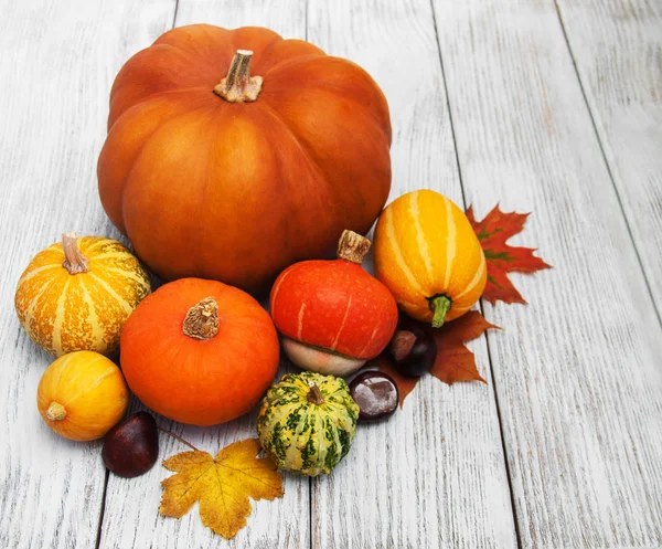 kabaklar ve yaprakları