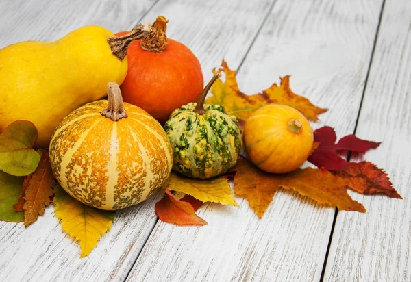 kabak ve yaprakları