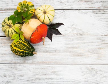 Sonbahar yapraklı balkabakları