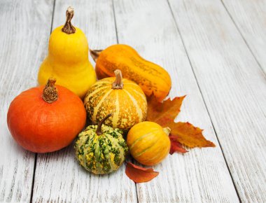 kabak ve yaprakları