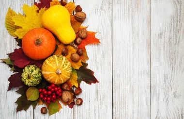 kabak ve yaprakları