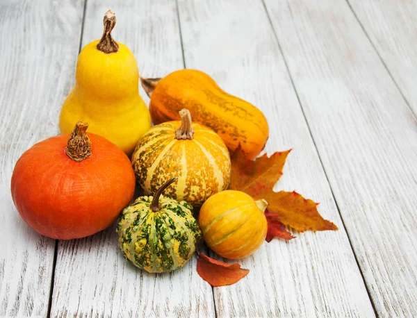 kabak ve yaprakları