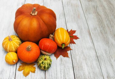 kabaklar ve yaprakları