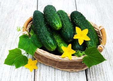 Bir tablo üzerinde taze salatalık