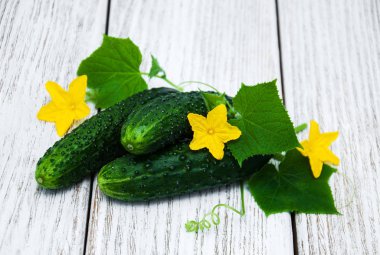 Bir tablo üzerinde taze salatalık