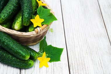 Bir tablo üzerinde taze salatalık