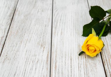 Bir tablo üzerinde Sarı Gül