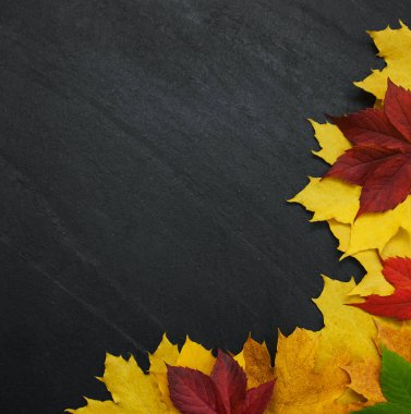 Tahtaya sonbahar yaprakları