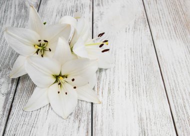 Ahşap bir masa üzerinde beyaz lilyum