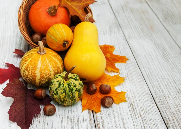 kabak ve yaprakları