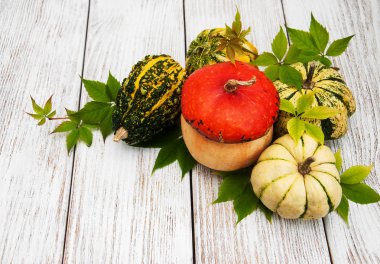 Sonbahar yapraklı balkabakları