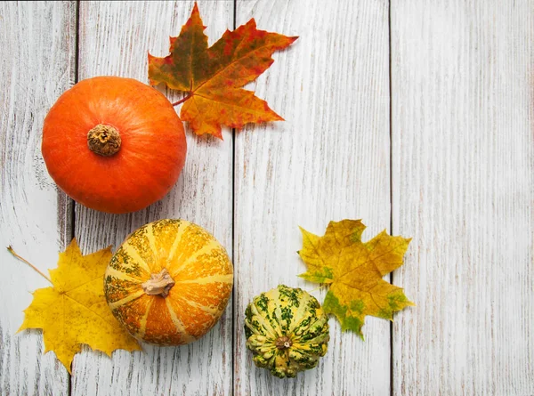 kabaklar ve yaprakları