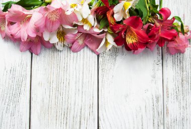 bir masaya alstroemeria çiçek