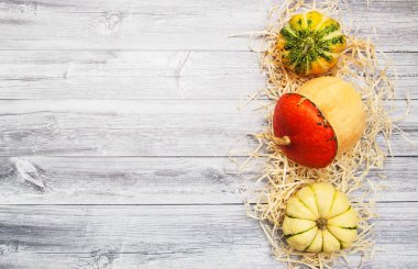 Sonbahar yapraklı balkabakları