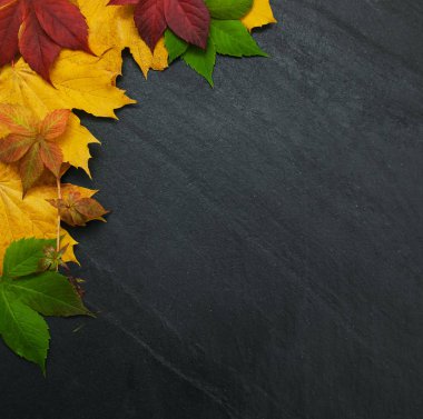 Tahtaya sonbahar yaprakları