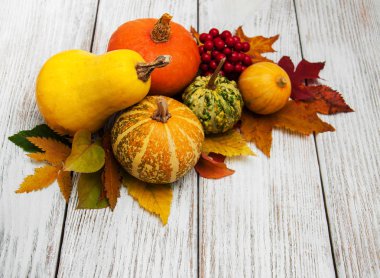 kabak ve yaprakları