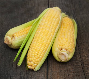 Koçanda taze mısır