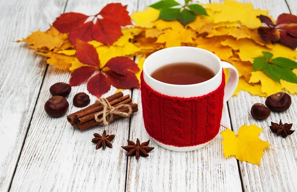 Taza de té — Foto de Stock