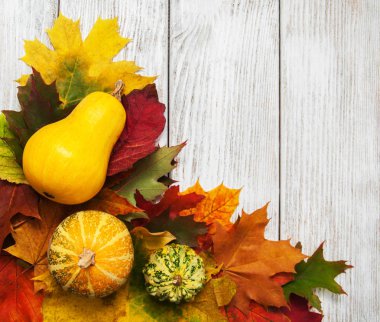 kabaklar ve yaprakları